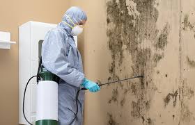 Asbestos and Lead Testing During Mold Inspection in Weleetka, OK